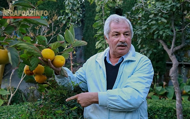 Nazirlərin dincəldiyi cənnətdən (Reportaj)