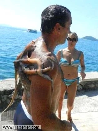 Bu şəkillərə çox güləcəksiniz (FOTO)
