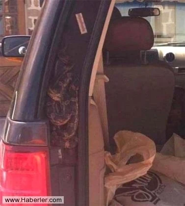 Bu şəkillərə çox güləcəksiniz (FOTO)