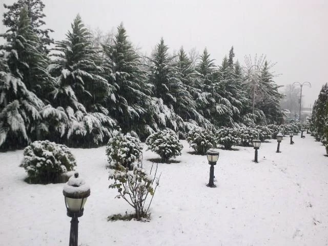 Azərbaycana qar yağır (FOTO)
