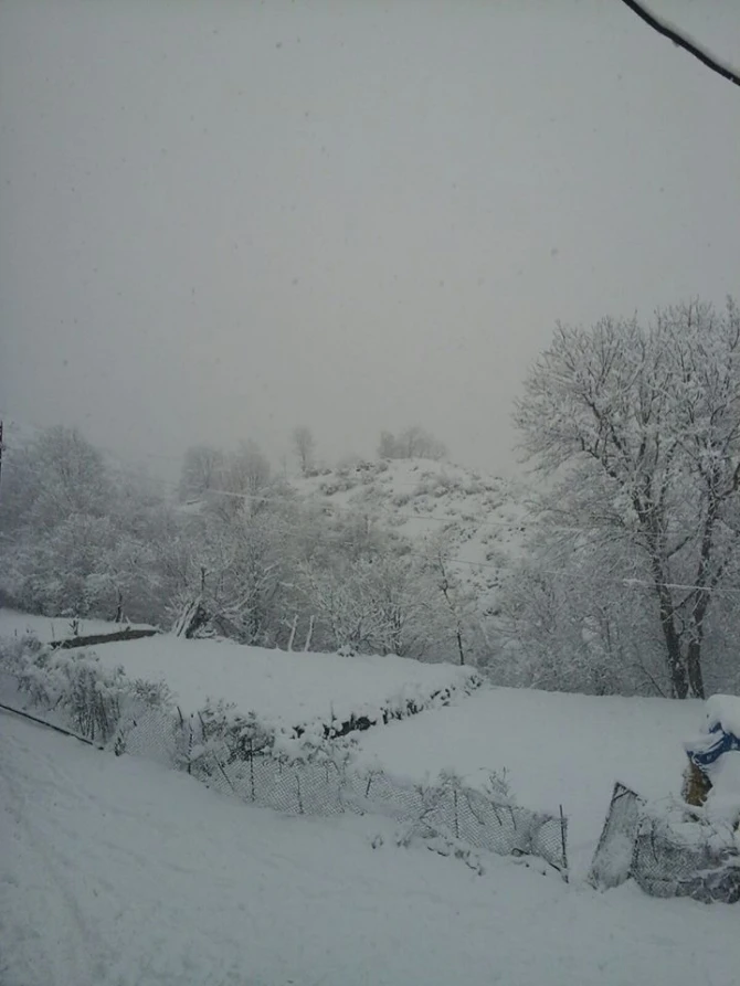 Azərbaycana qar yağır (FOTO)