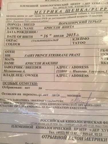 В семье Айгюн Кязимовой произошло пополнение (видео)