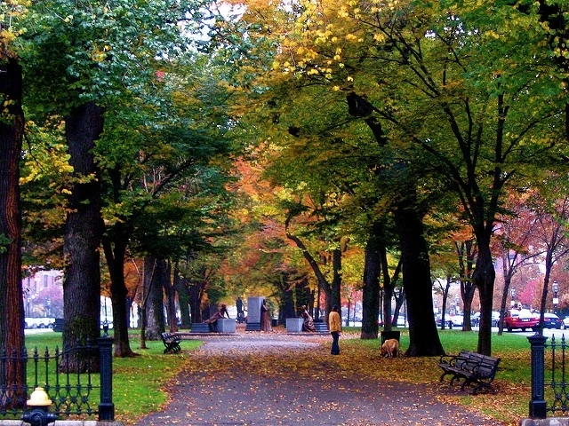 15 удивительных мест мира для пеших прогулок
