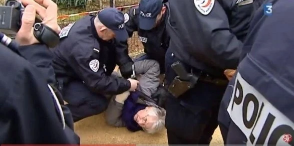 Опубликованы кадры жестокого обращения полиции с 72-летней женщиной (видео)