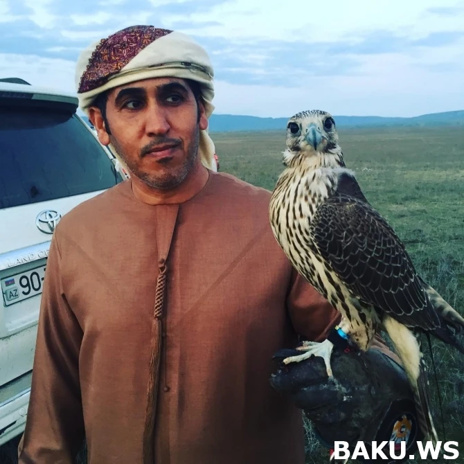 Богатые шейхи вновь на охоте в Азербайджане (фото, видео)