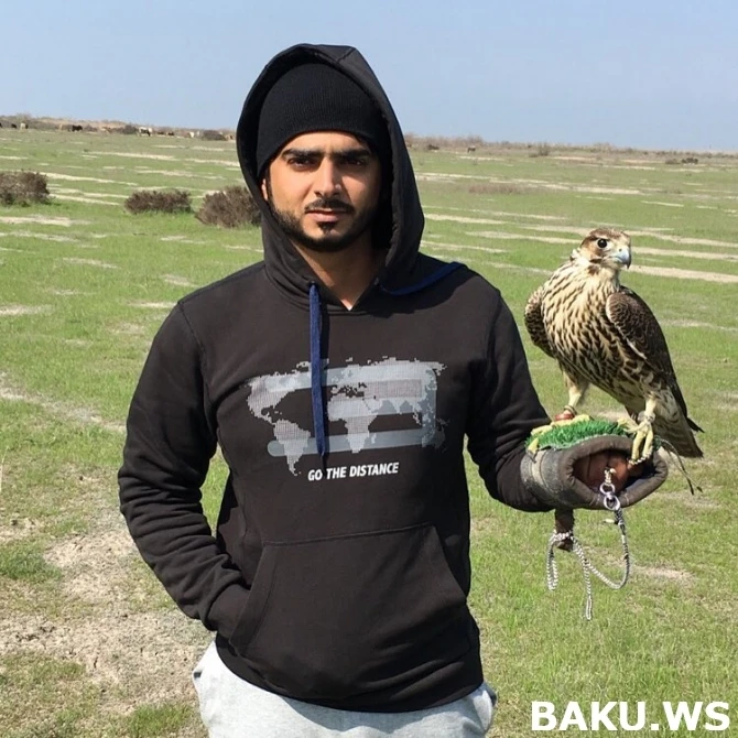 Богатые шейхи вновь на охоте в Азербайджане (фото, видео)