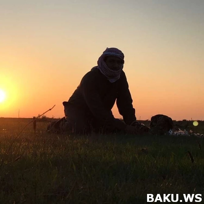 Богатые шейхи вновь на охоте в Азербайджане (фото, видео)