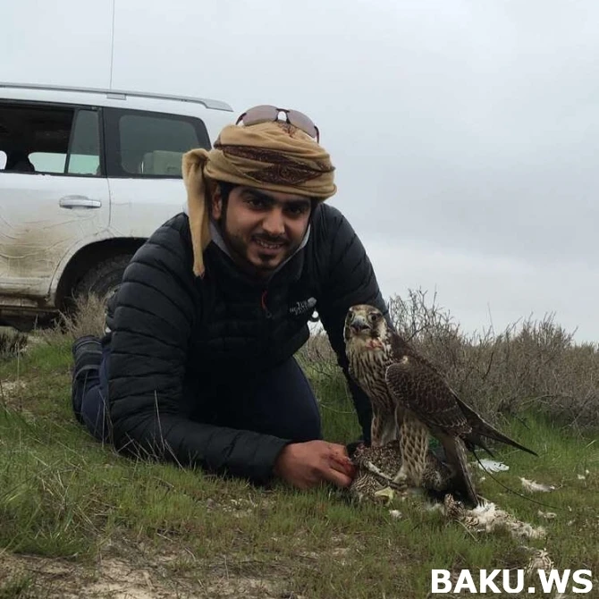Богатые шейхи вновь на охоте в Азербайджане (фото, видео)