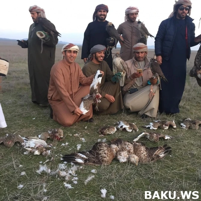 Богатые шейхи вновь на охоте в Азербайджане (фото, видео)