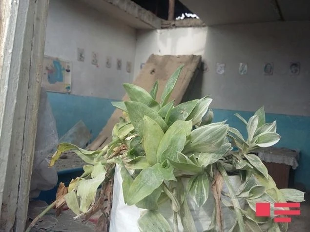 Ermənilər dinc əhalini atəşə tutur (FOTO)