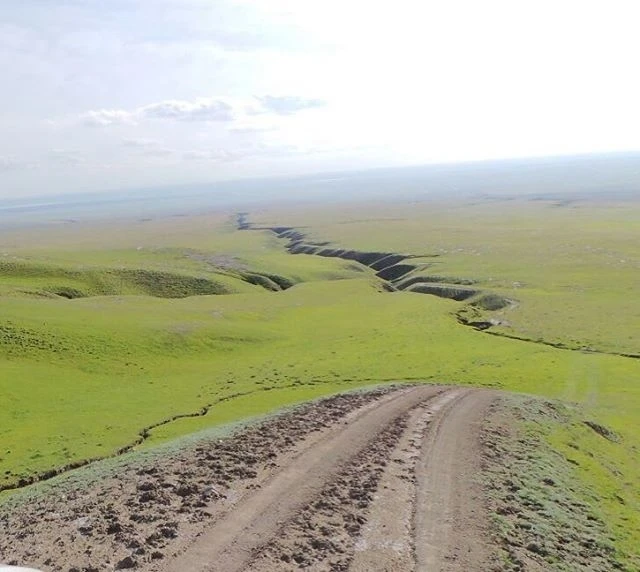 Арабские шейхи на охоте в Азербайджане (фото, видео)