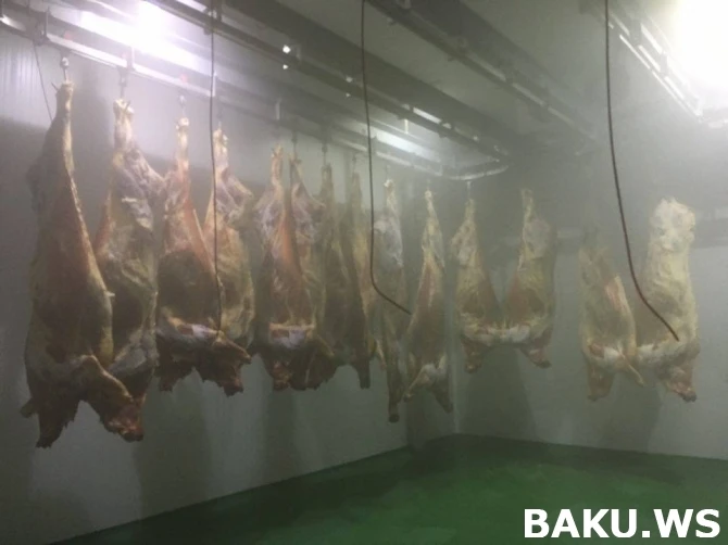 Как в Баку производят халяльные мясные изделия (фото, видео)