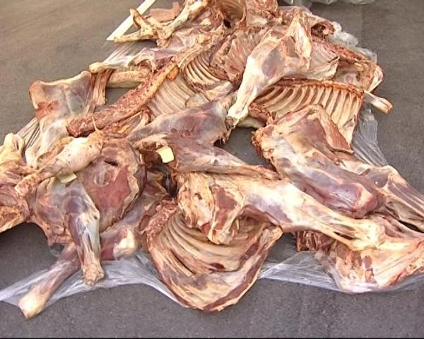 В Баку задержан мужчина,  пытавшийся продать 1 тонну мяса больного животного (фото)