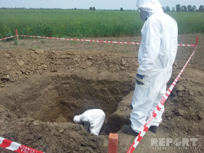 В Тертере на 17 жилых пунктов сброшено свыше 280 снарядов (фото, видео)