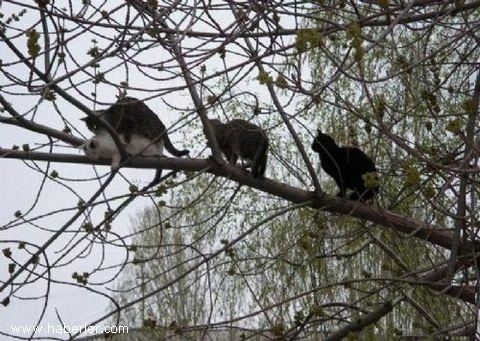 Bu şəkillər sizi çox təəccübləndirəcək (FOTO)