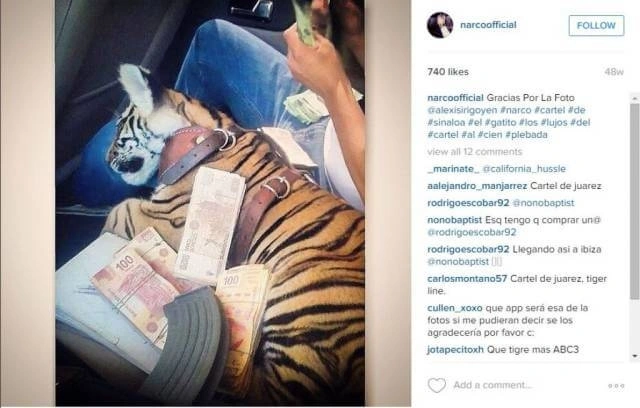 Mafiya başçılarının qızlarının Instagram həyatı (FOTO)