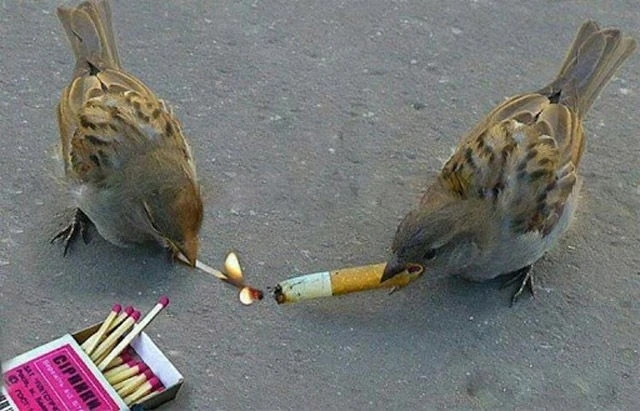 Dünyanın ən qəribə şəkilləri (FOTO)