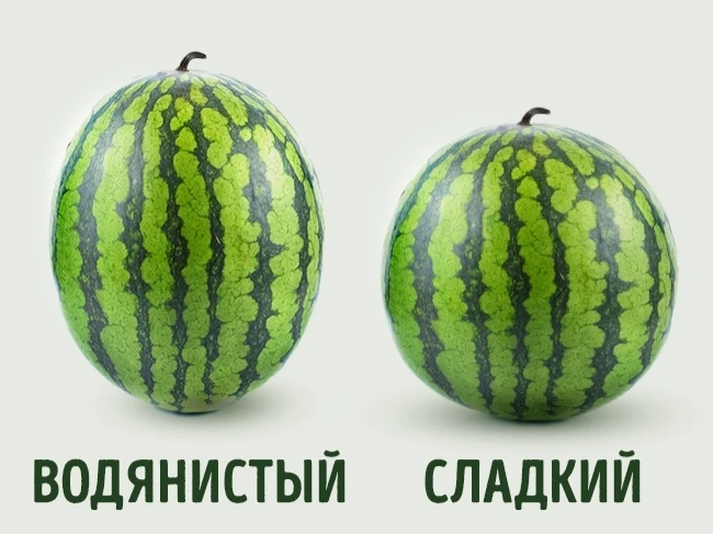 Вот как правильно выбирать арбуз: трюки фермеров (фото)