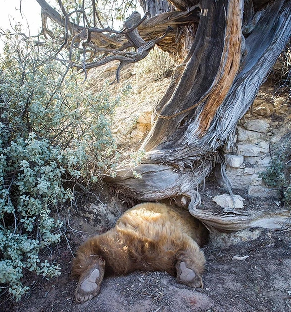 Самые популярные снимки Instagram за июль (фото)