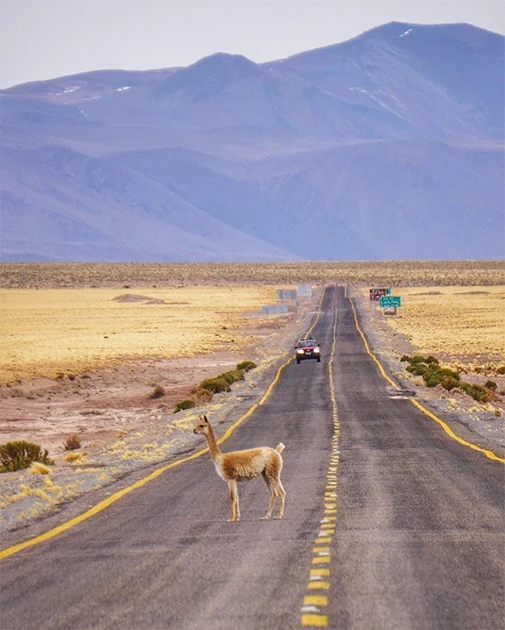 Самые популярные снимки Instagram за июль (фото)
