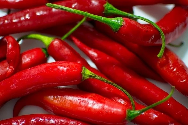 10 способов охладиться в невыносимую жару