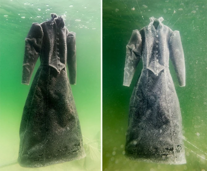 Художница создала скульптуру, оставив в море платье на 2 года (фото)