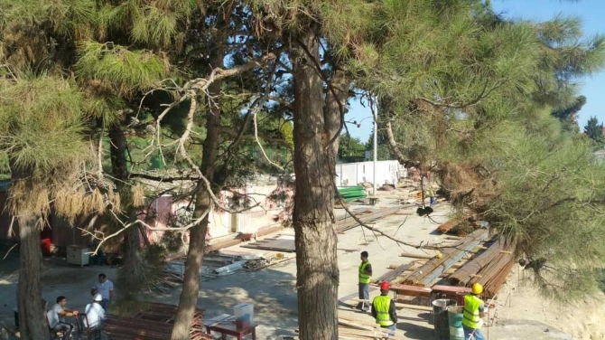 Təhsil naziri kollec direktorunu işdən çıxardı