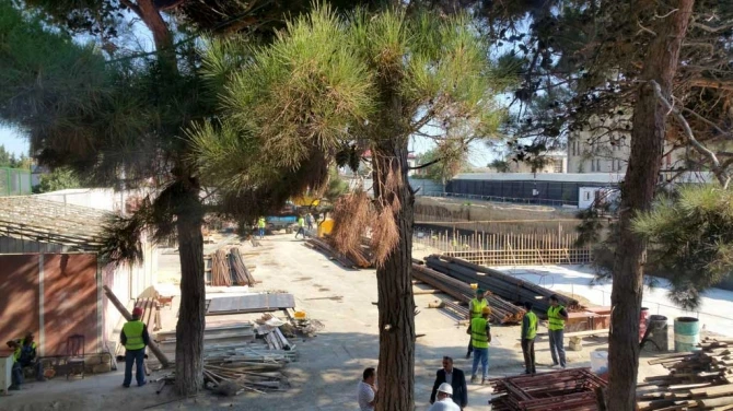 Təhsil naziri kollec direktorunu işdən çıxardı