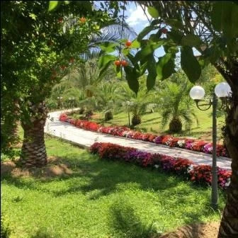 Azərbaycanlı milyonçunun dəbdəbəli həyat tərzi: bahalı maşınlar, lüks villalar (FOTO)