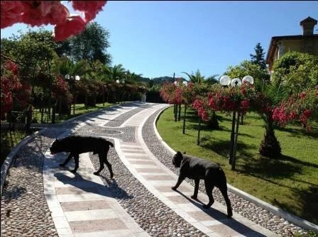 Azərbaycanlı milyonçunun dəbdəbəli həyat tərzi: bahalı maşınlar, lüks villalar (FOTO)