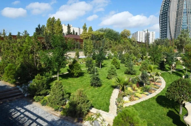 Алиевы на открытии парка 