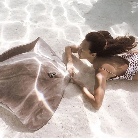 Instagram fenomeni təhlükəli dəniz canlılarıyla (FOTO)