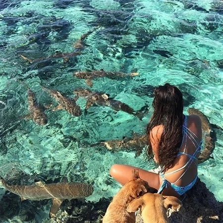 Instagram fenomeni təhlükəli dəniz canlılarıyla (FOTO)