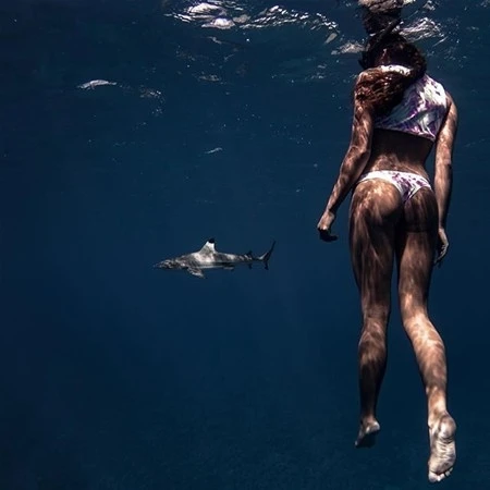 Instagram fenomeni təhlükəli dəniz canlılarıyla (FOTO)