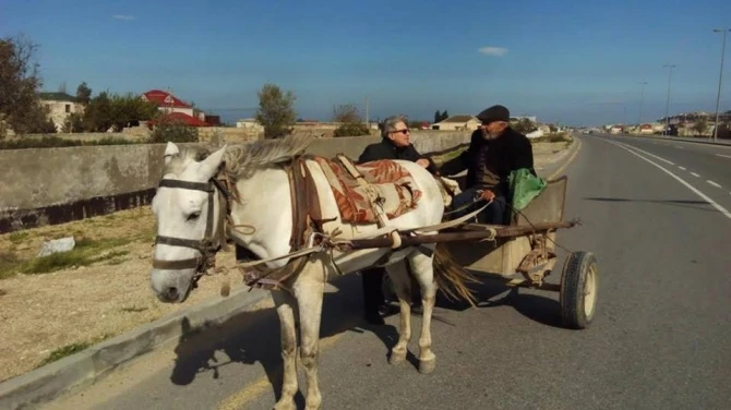Eldar Mahmudovun bağ evindən FOTOREPORTAJ