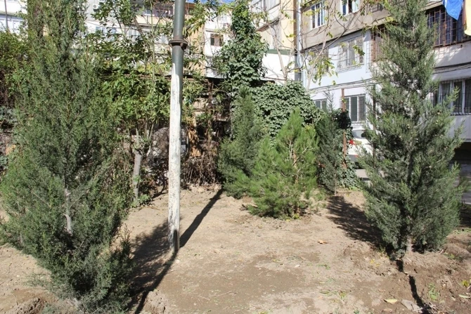 Лейла Алиева решила проблему, поднятую BAKU.WS (видео)