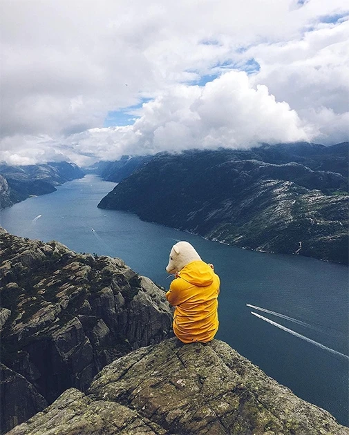 Самые популярные фотографии Instagram за ноябрь (фото)