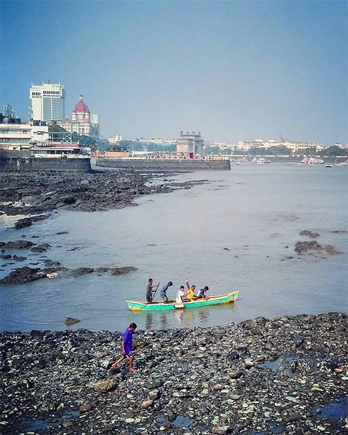 Самые популярные фотографии Instagram за ноябрь (фото)