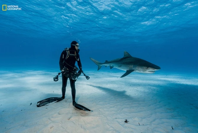 Лучшие фотографии года по версии National Geographic (фото)