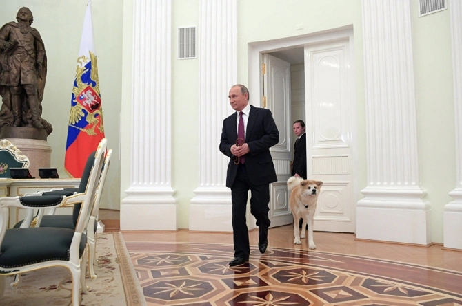 Putin itini jurnalistərə göstərdi (FOTO)