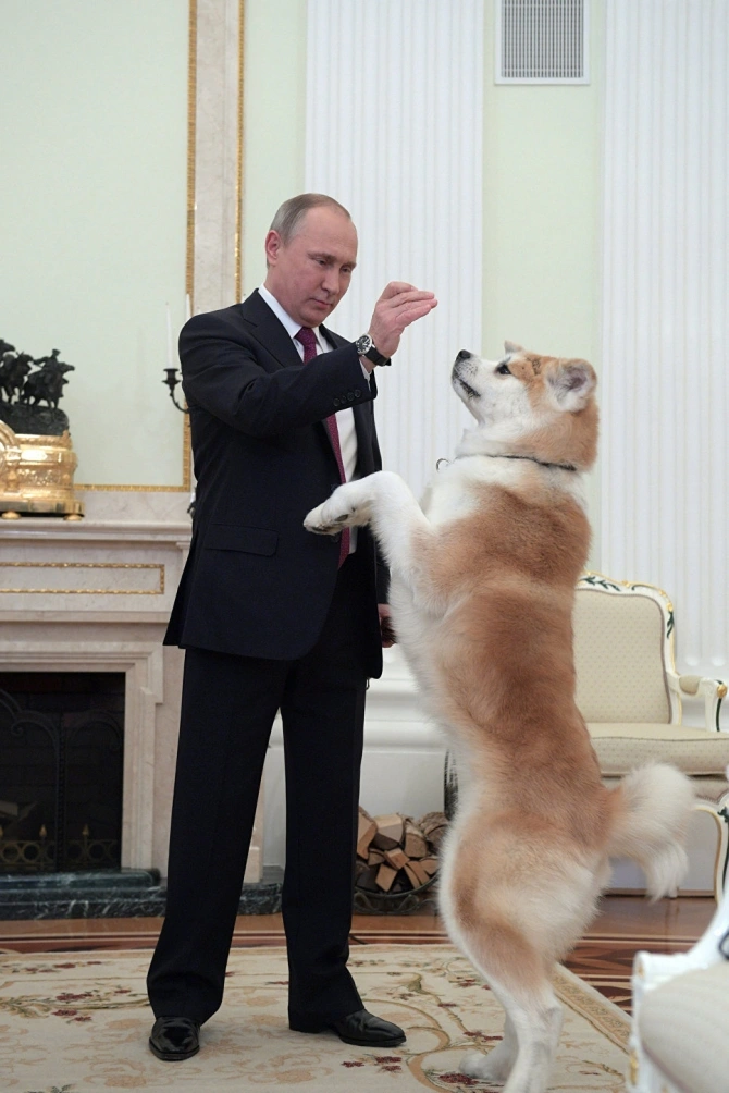 Putin itini jurnalistərə göstərdi (FOTO)
