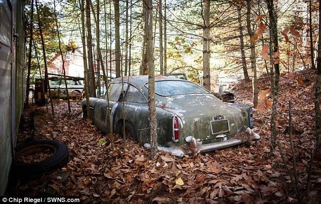 В лесу нашли брошенный Aston Martin стоимостью $500 тыс. (фото)