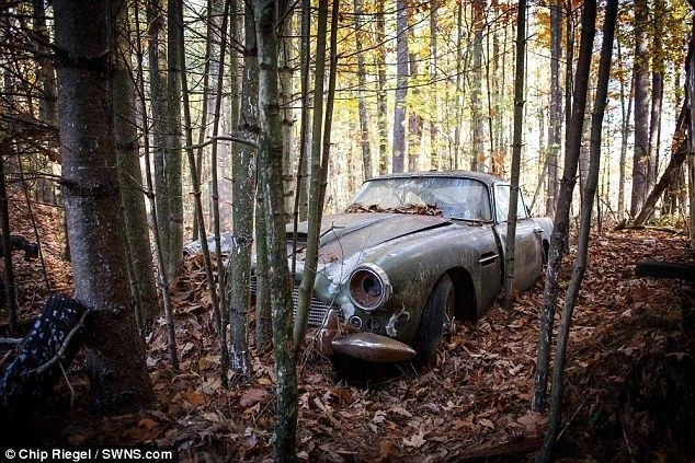 В лесу нашли брошенный Aston Martin стоимостью $500 тыс. (фото)