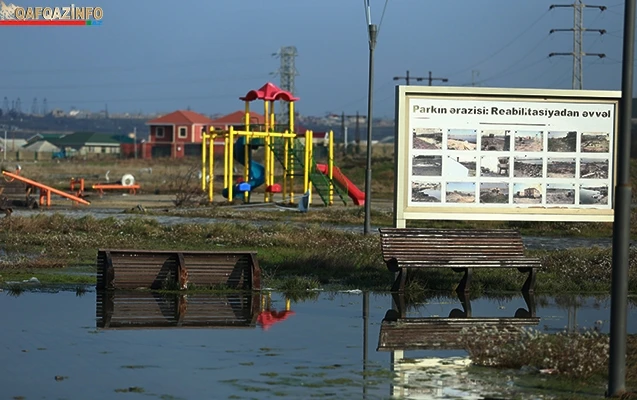 Sabunçuda istirahət parkı “zoopark”a çevrilib... - (VİDEO)
