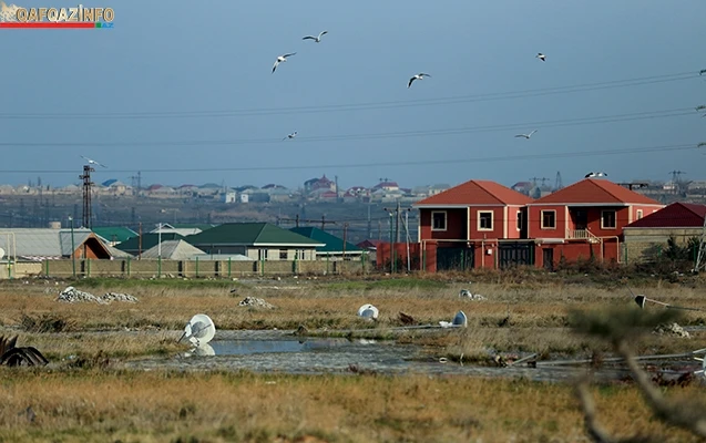 Sabunçuda istirahət parkı “zoopark”a çevrilib... - (VİDEO)