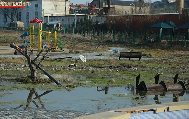 Sabunçuda istirahət parkı “zoopark”a çevrilib... - (VİDEO)