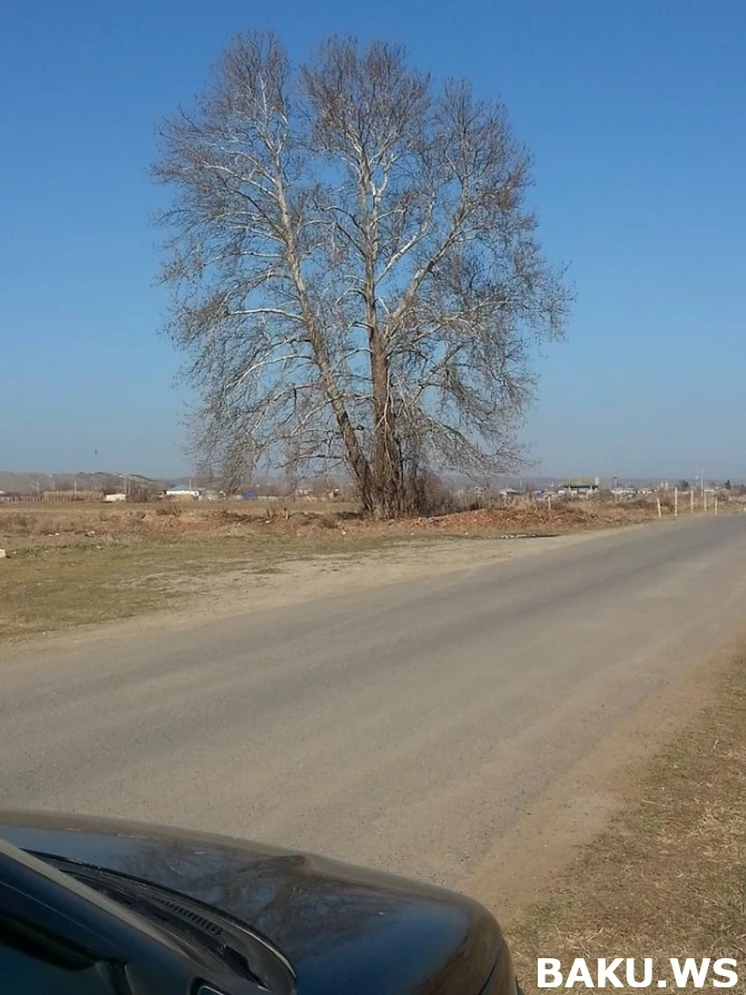 Новые кадры освобожденных от оккупации азербайджанских земель (фото, видео)