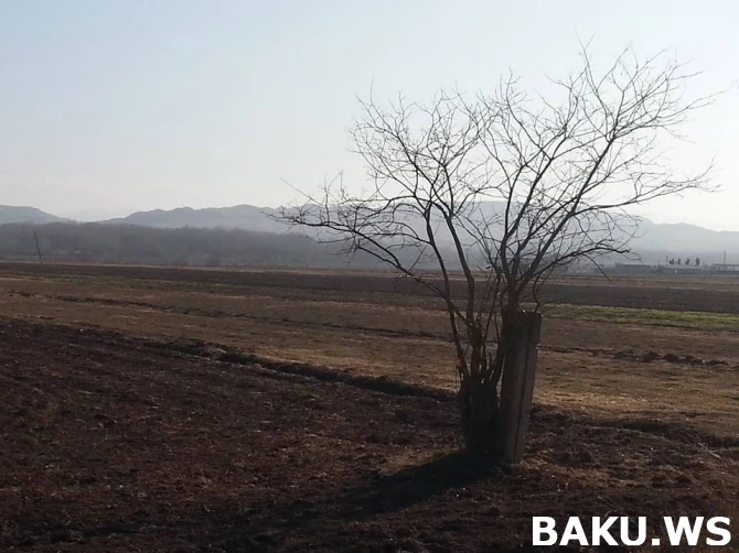 Новые кадры освобожденных от оккупации азербайджанских земель (фото, видео)