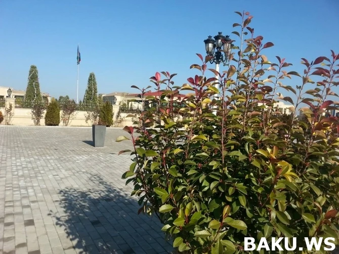 Новые кадры освобожденных от оккупации азербайджанских земель (фото, видео)