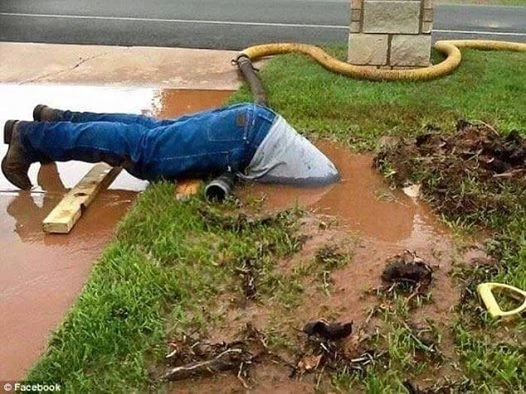 Сеть покоряет новый вид флешмоба